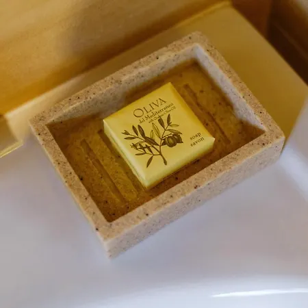 Summit-szczawnica-centrum Daire