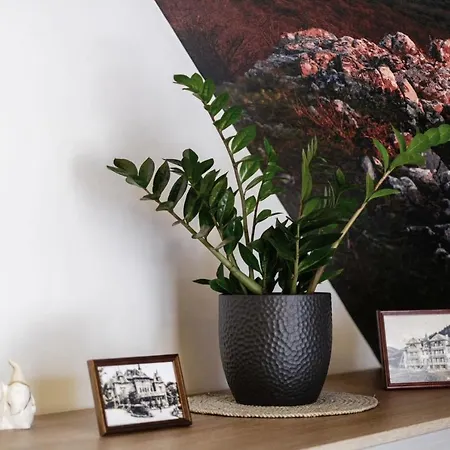 Daire Summit-szczawnica-centrum Szczawnica