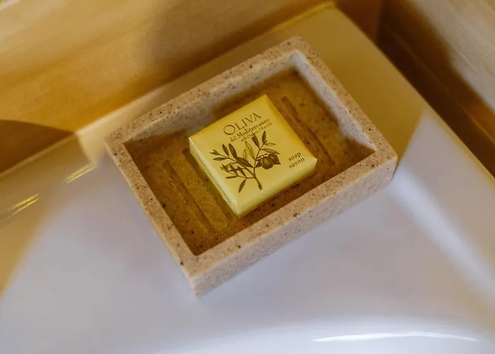 Summit-szczawnica-centrum דירה